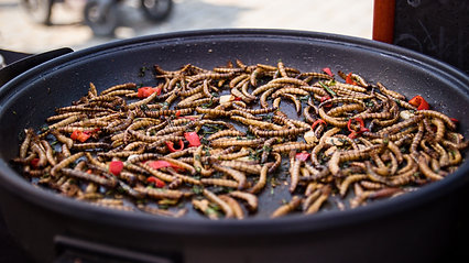 Hmyz na talíři