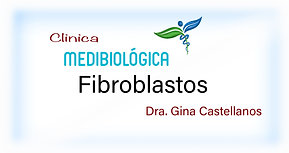 Fibroblastos