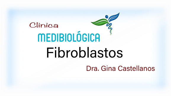 Fibroblastos