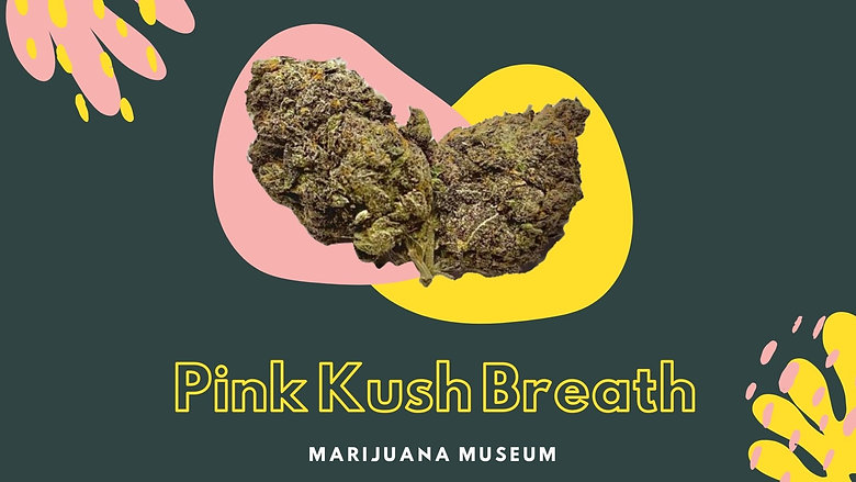 (18+) Pink Kush Breath