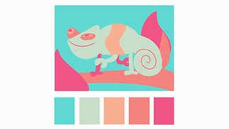 Colour Palette Chameleon