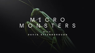 Alchemy Immersive // Micro Monsters // David Attenborough
