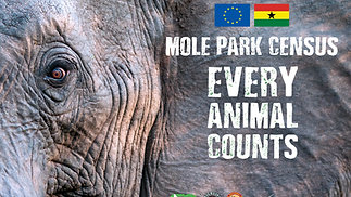 Mole National Park Census Ghana