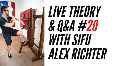 LIVE Theory and Q & A w/Sifu Alex Richter #20