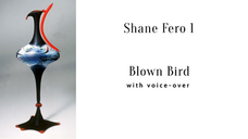 Demo 13.1 With Voice-Over Blown Bird