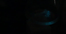 Bioluminescent Heart