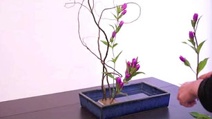 Ikebana / Flower Arrangement