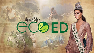 Littering | Lindsey Coffey's Eco Ed Series