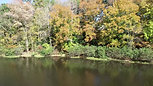 The Island at Patriots Landing in Fall Colors