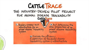 CattleTrace Overview