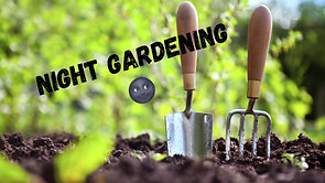 Night Gardening
