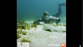 The boys in blue take a dive and see what’s under Bondi’s surface