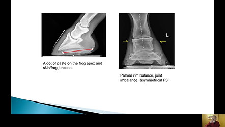 Dr. Redden - Understanding the Principles of Using Radiographs for Pathological Shoeing