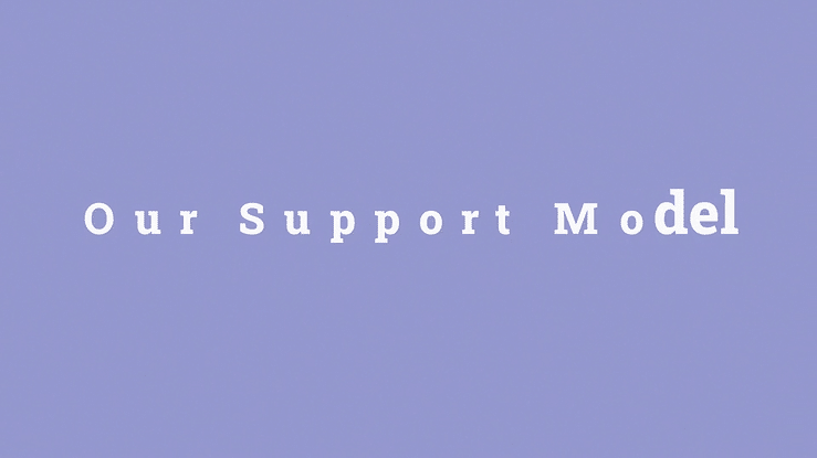 Our Support Model | INS