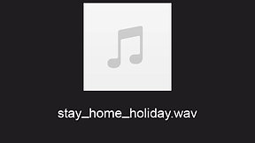 Stay Home Holiday