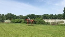 Allison cantering Rudy in a field at Garland Stable