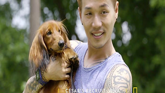 'Cesar's Recruit: Asia' Season 2 Campaign Spot