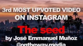 The Seed: 3rd Most Upvoted