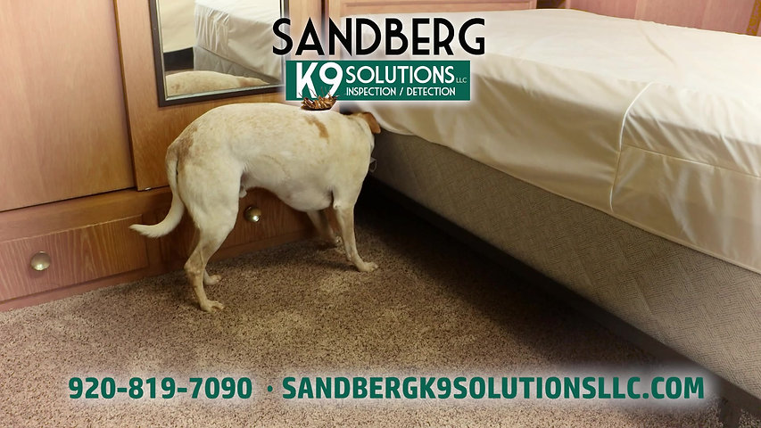 Sandberg K9 Solutions Commercial