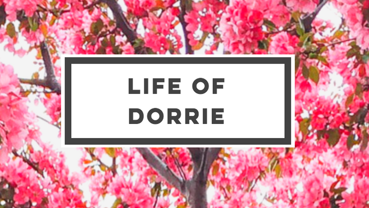 Life of Dorrie