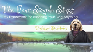 The Four Simple Steps Overview