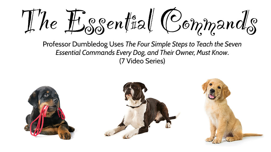 The Essential Command Series