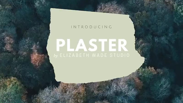 Plaster Works