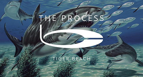 Tiger Beach – Painting Process