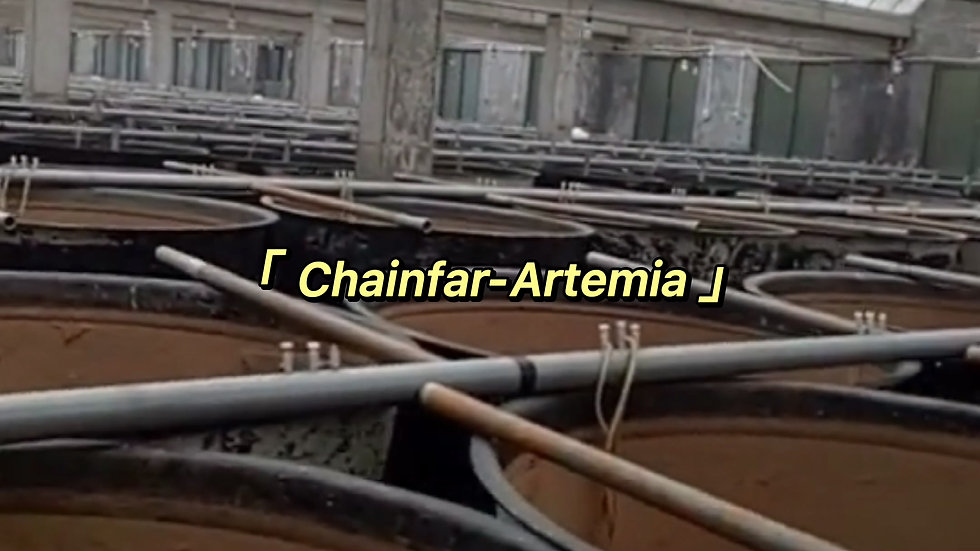 Professional Artemia Manufacturer 