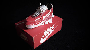 Air Max90 only from a cardboard Nike box 