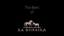 The Bees of La Donaira