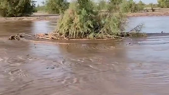 新疆的塔克拉瑪干沙漠也發洪水了