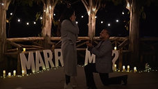 Proposal in CentralPark