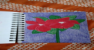 Sketchbook Diary Flower Power Pt. 3
