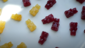 Fruit Juice Gummy Bears (simple recipe)