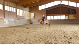 Ranch Riding: Patterntraining mit Enja Libor