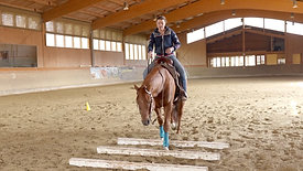 Ranch Riding: Stangenarbeit mit Enja Libor