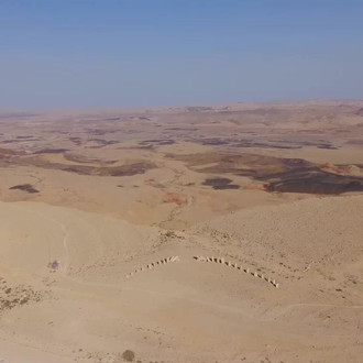 Desert Shade Eco-Camp | Accommodation In The Negev Desert