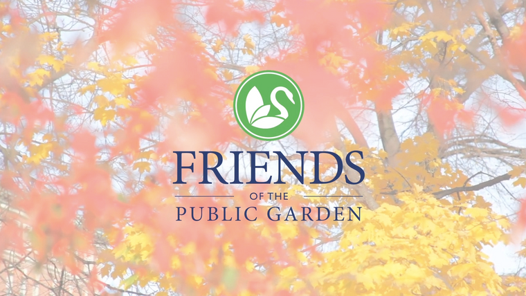 Friends of The Public Garden