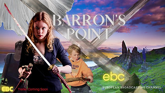 Barron's Point