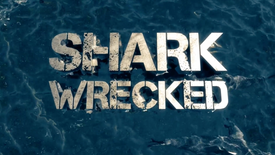 Shark Week's Shark Wrecked - Discovery Channel