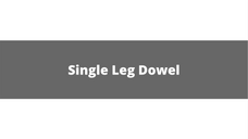 Single Leg Dowel
