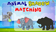 Animal Shadow Matching