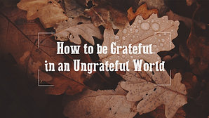 How to be Grateful in an Ungrateful World