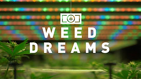 Weed Dreams Work Sample Snippet