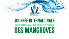 Journée Mangroves