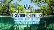 Zone Humide_Sainte-Anne