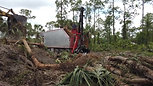 LAND CLEARING