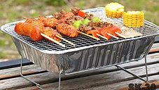 SK-30, Disposable BBQ Grillers