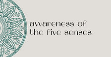 Awareness Through The Five Senses
